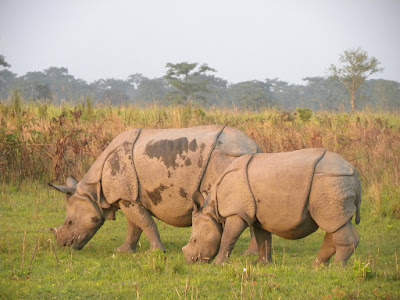 Assam State Tourism