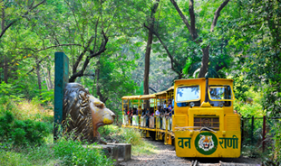 Sanjay Gandhi National Park